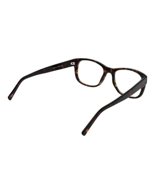 Andy Wolf Black Brown Acetate Glasses (frames)