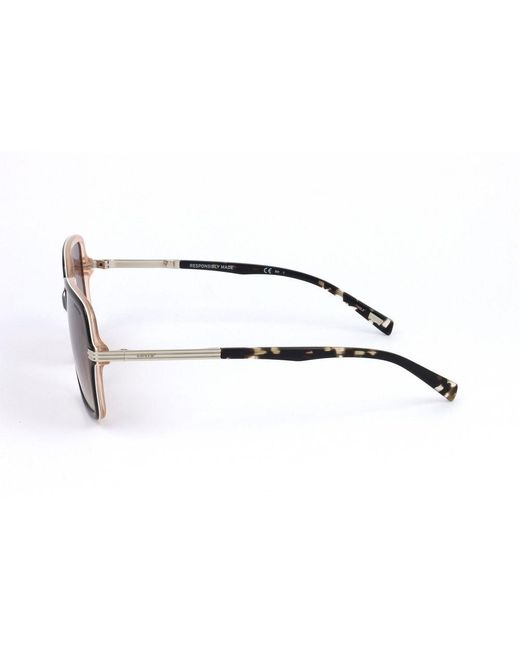 Levi's Brown Black Resin Sunglasses