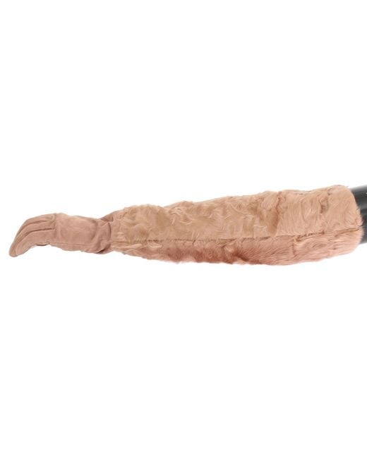 Dolce & Gabbana Multicolor Elegant Suede Elbow-Length Gloves
