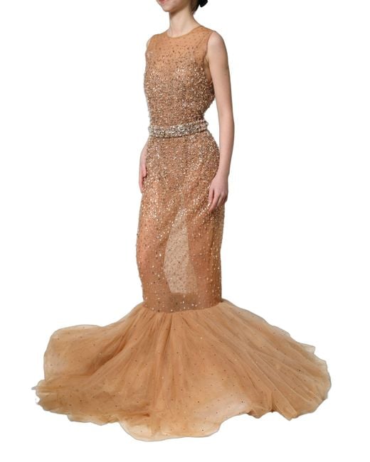 Dolce & Gabbana Brown Crystal Embellished Mermaid Gown Dress