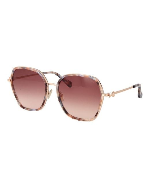 Ted Baker Pink Multicolor Acetate Sunglasses