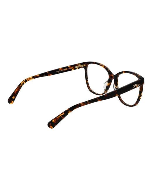Longchamp Black Brown Acetate Glasses (frames)