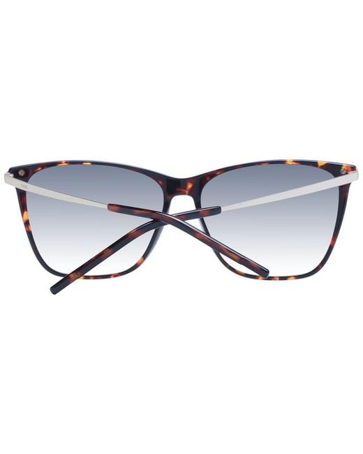 Boss Black Brown Acetate Sunglasses