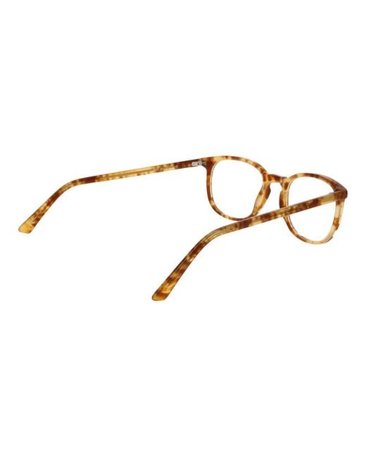 Andy Wolf Brown Acetate Glasses (frames)