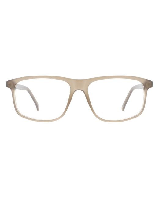 Andy Wolf Brown Beige Acetate Glasses (frames) for men