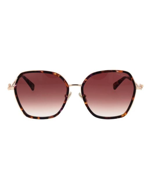 Ted Baker Brown Acetate Sunglasses