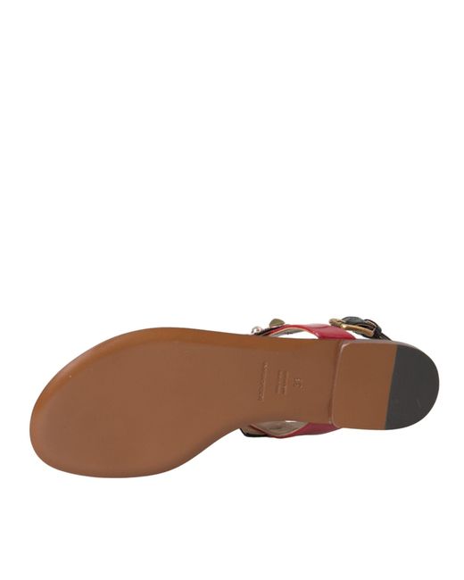 Dolce & Gabbana Brown Flat Sandals