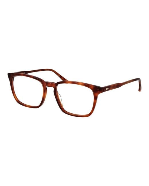 Sandro Brown Acetate Glasses (frames) for men