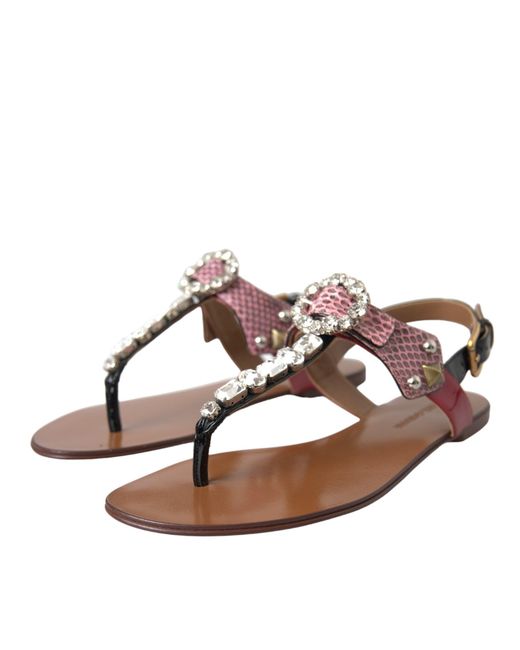 Dolce & Gabbana Brown Flat Sandals