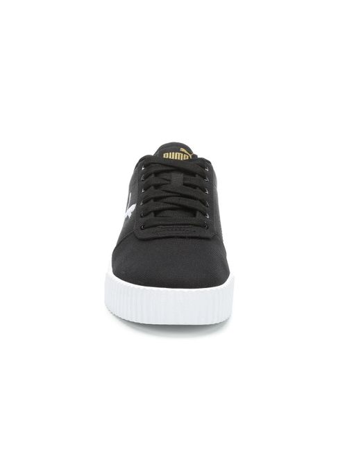 puma carina summer