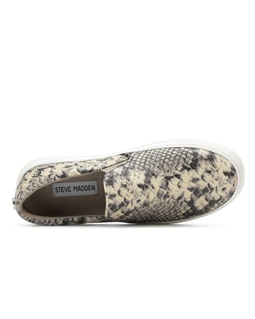 shoe carnival steve madden