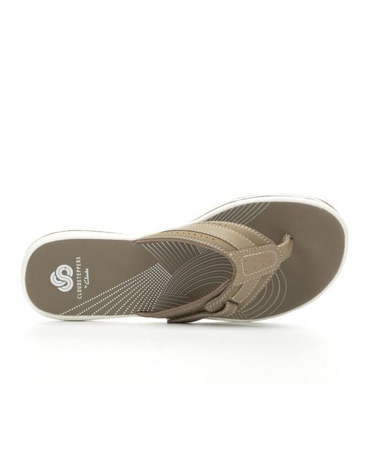 clarks brinkley reef