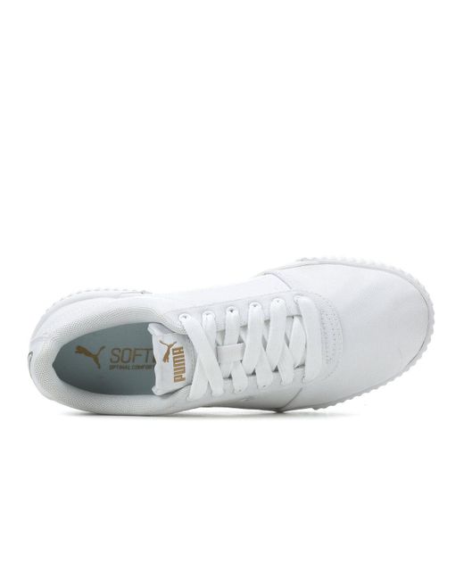 puma carina summer