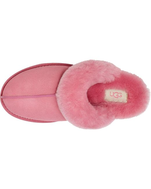 ugg wild berry slippers