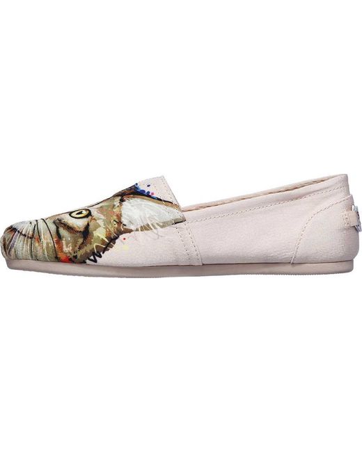 bobs for cats