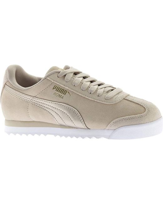 puma safari