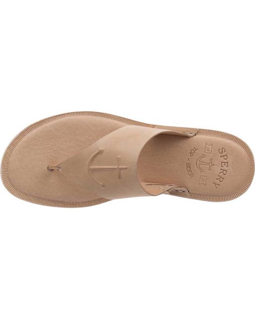 sperry seaport thong