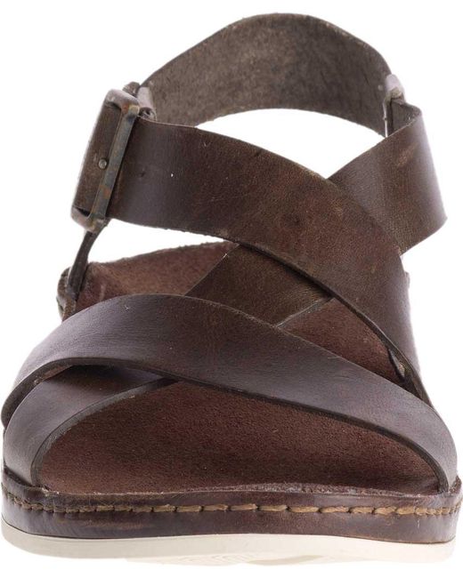 chaco wayfarer otter