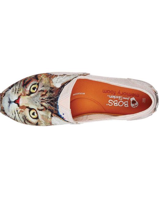 bobs plush cats rule