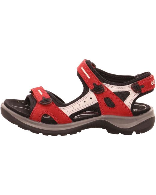 ecco hiking sandals