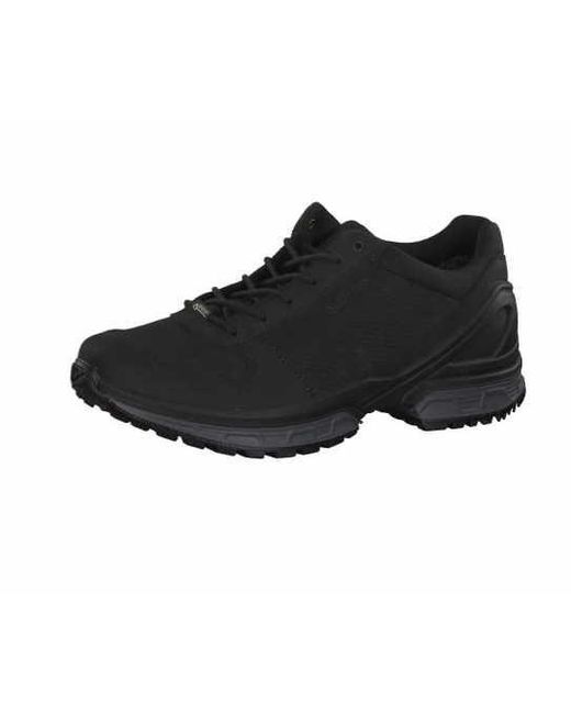 lowa trainers