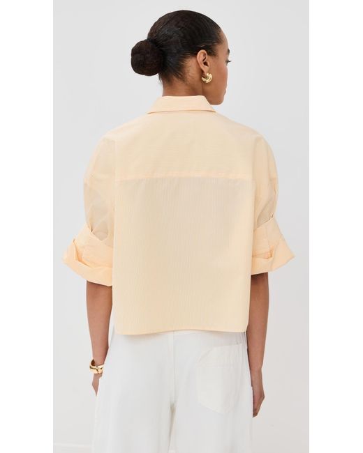 Twp Multicolor Next Ex Buttondown