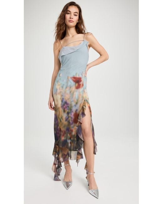 Acne Multicolor Blurry Meadow Chiffon Dress