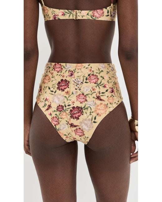 Agua Bendita Brown Paramo Bikini Bottoms