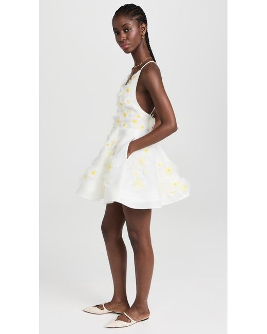 Zimmermann daisy deals dress
