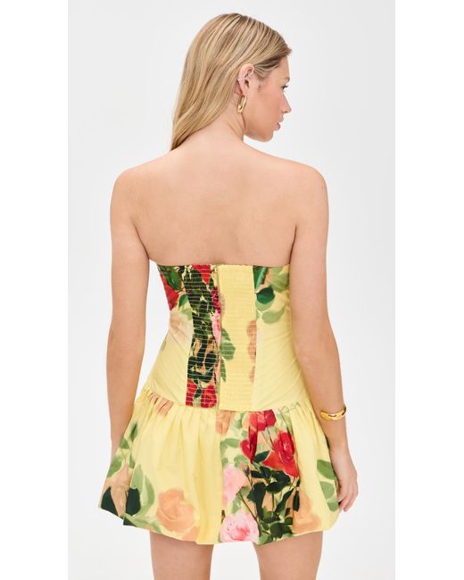 Cara Cara Red Elena Dress