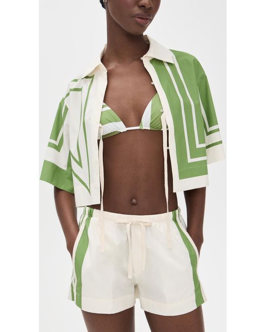 Sir Brown Carlo String Bikini Briefs