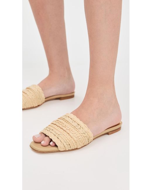 Andrea Gomez Black Denise Sandals