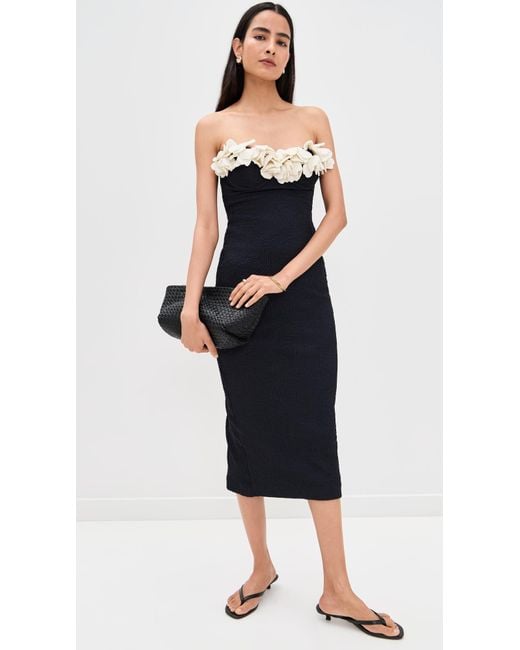 PATBO Blue Breeze Jacquard Colorblock Midi Dress