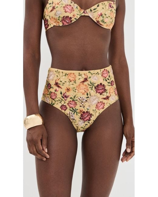Agua Bendita Brown Paramo Bikini Bottoms