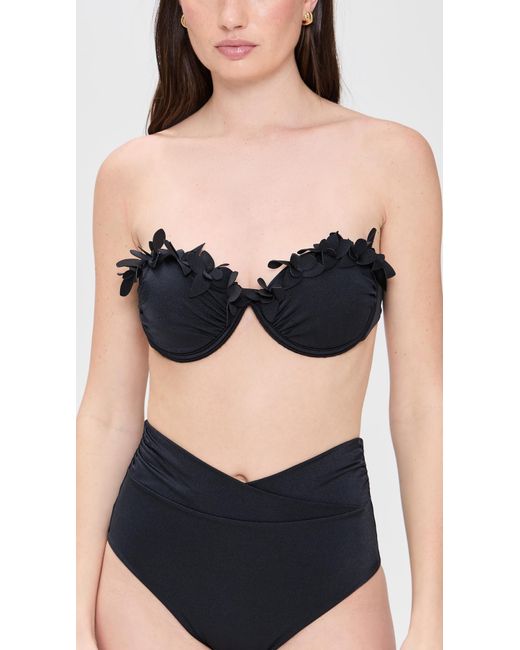 Ancora Black Dendron Bikini Top