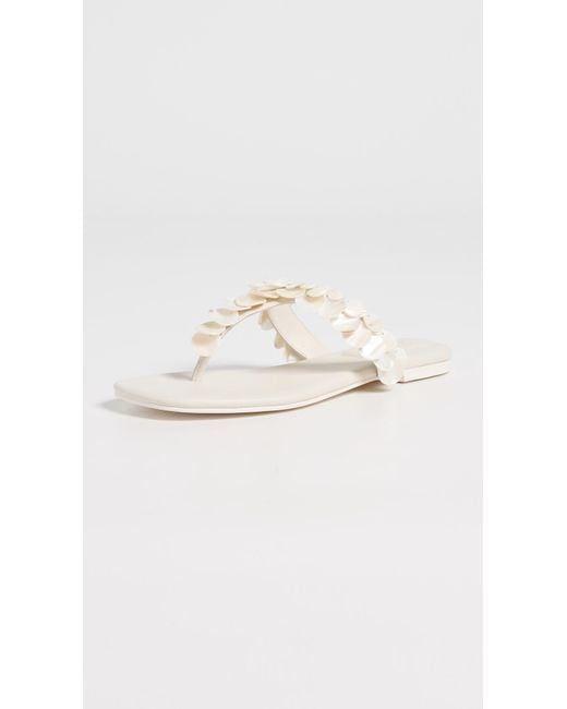 Jonathan Simkhai Black Elin Beaded Shell Sandals