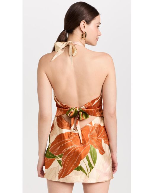 retroféte Orange Adeaide Dress Neutra Botanica