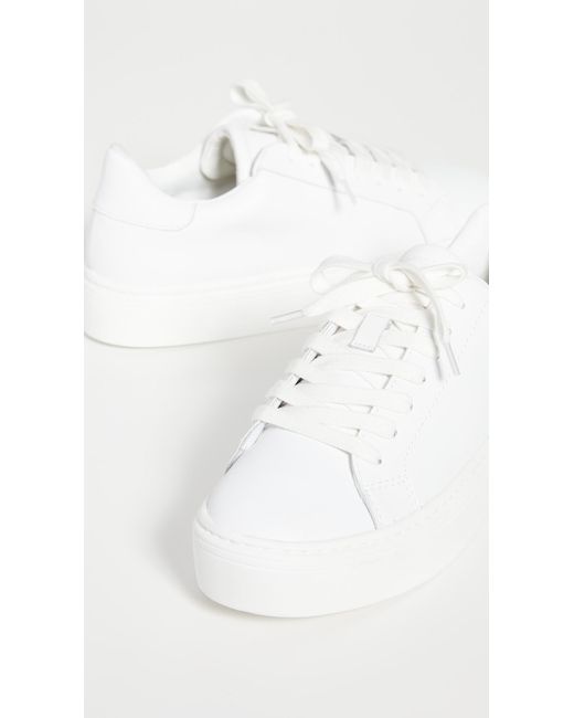 steven by steve madden sneakers