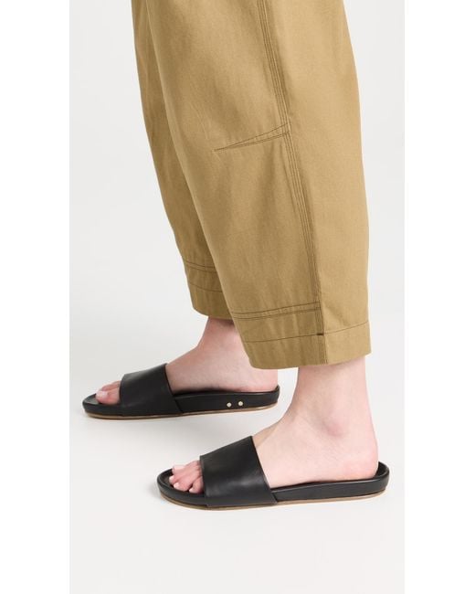 Beek Black Gallito Slides