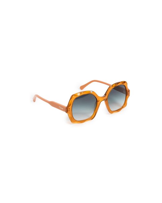 Chloé Multicolor Scalloped Acetate Sunglasses
