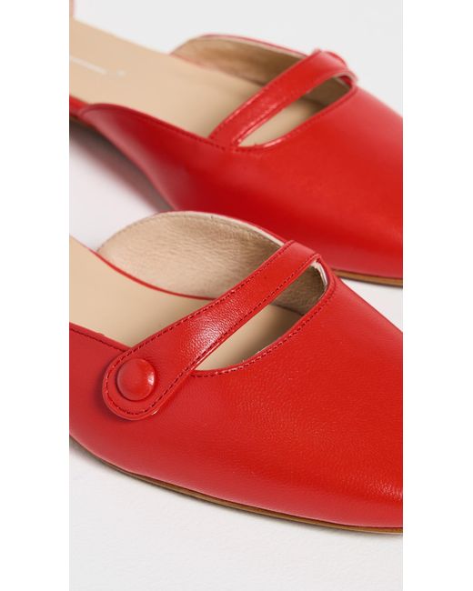 INTENTIONALLY ______ Red Iris Flats