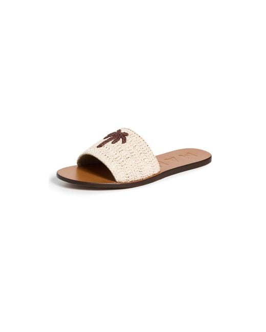 Manebí Black Leather Sandals