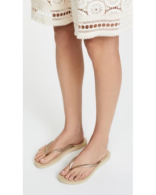 havaianas sand grey light golden