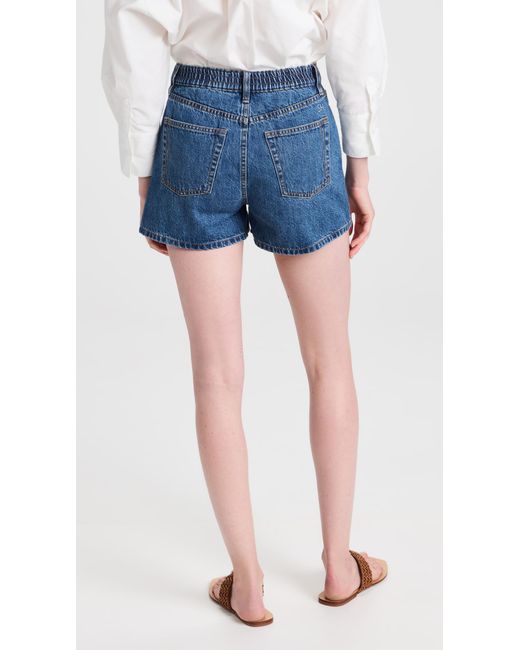 Still Here Blue Ames Shorts