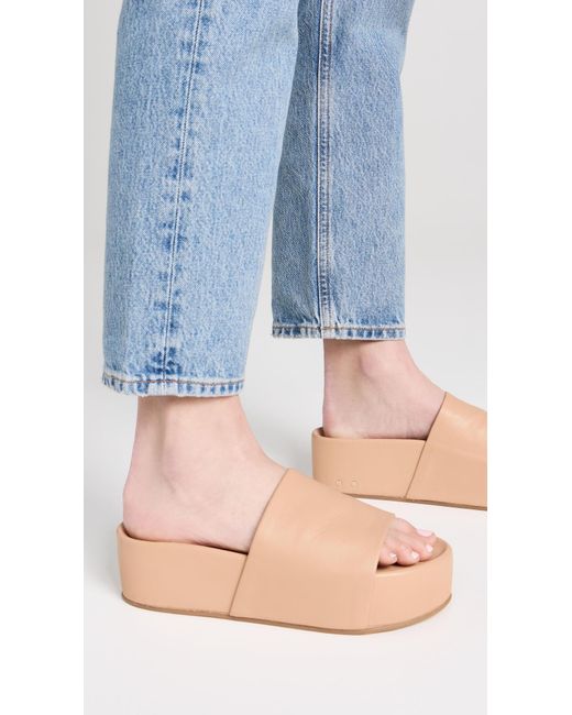 Beek Multicolor Albatross Platform Slides
