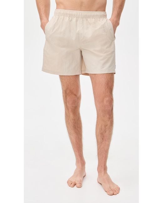 AUTO-REPLY Multicolor Solid Sebastian Swim Trunks 6 for men