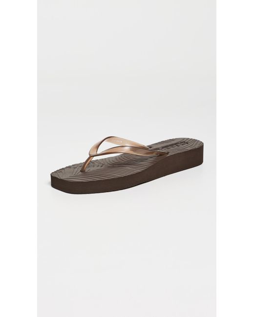 Sleeper Black Platform Jelly Flip Flops