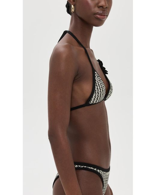 Devon Windsor Black Nash Bikini Top