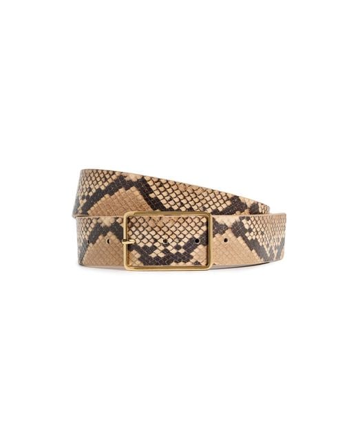 B-Low The Belt Multicolor Milla Python Belt