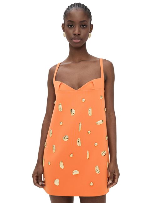 alexis orange dress Alexis Dress Coral / L